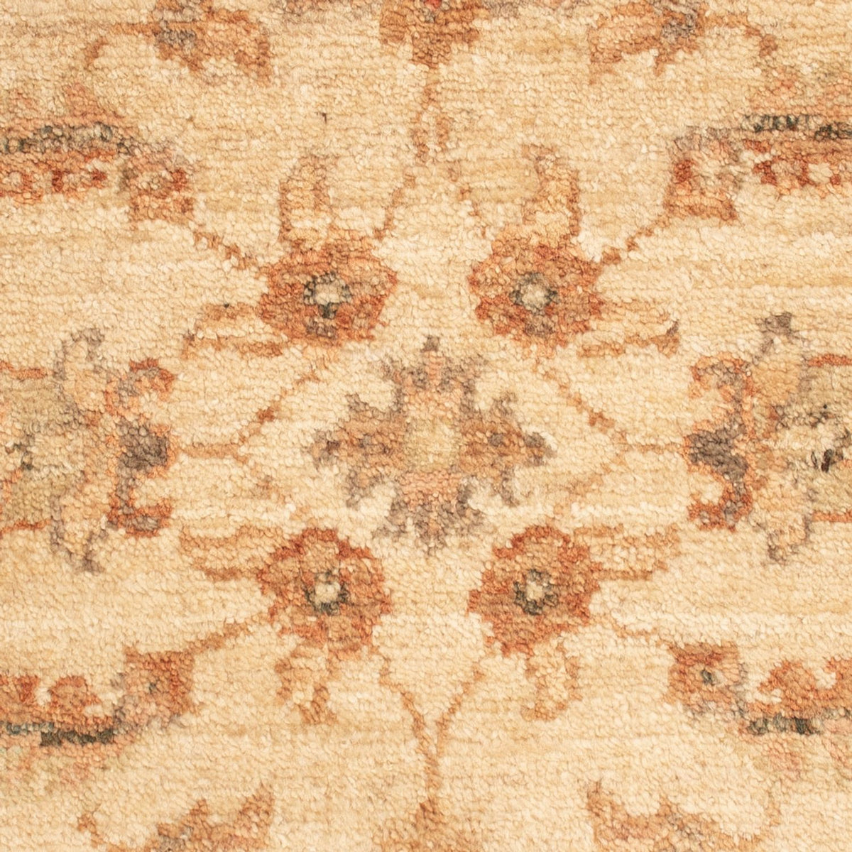 Ziegler Rug - 65 x 50 cm - beige