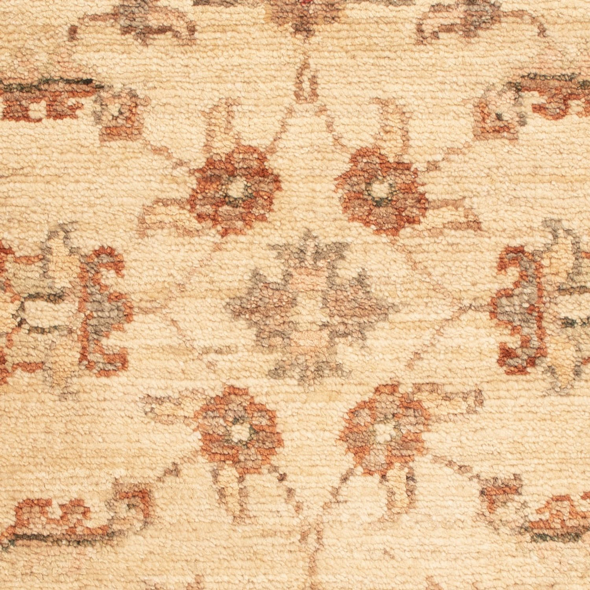 Ziegler Rug - 65 x 50 cm - beige