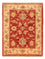 Ziegler Rug - 67 x 53 cm - red