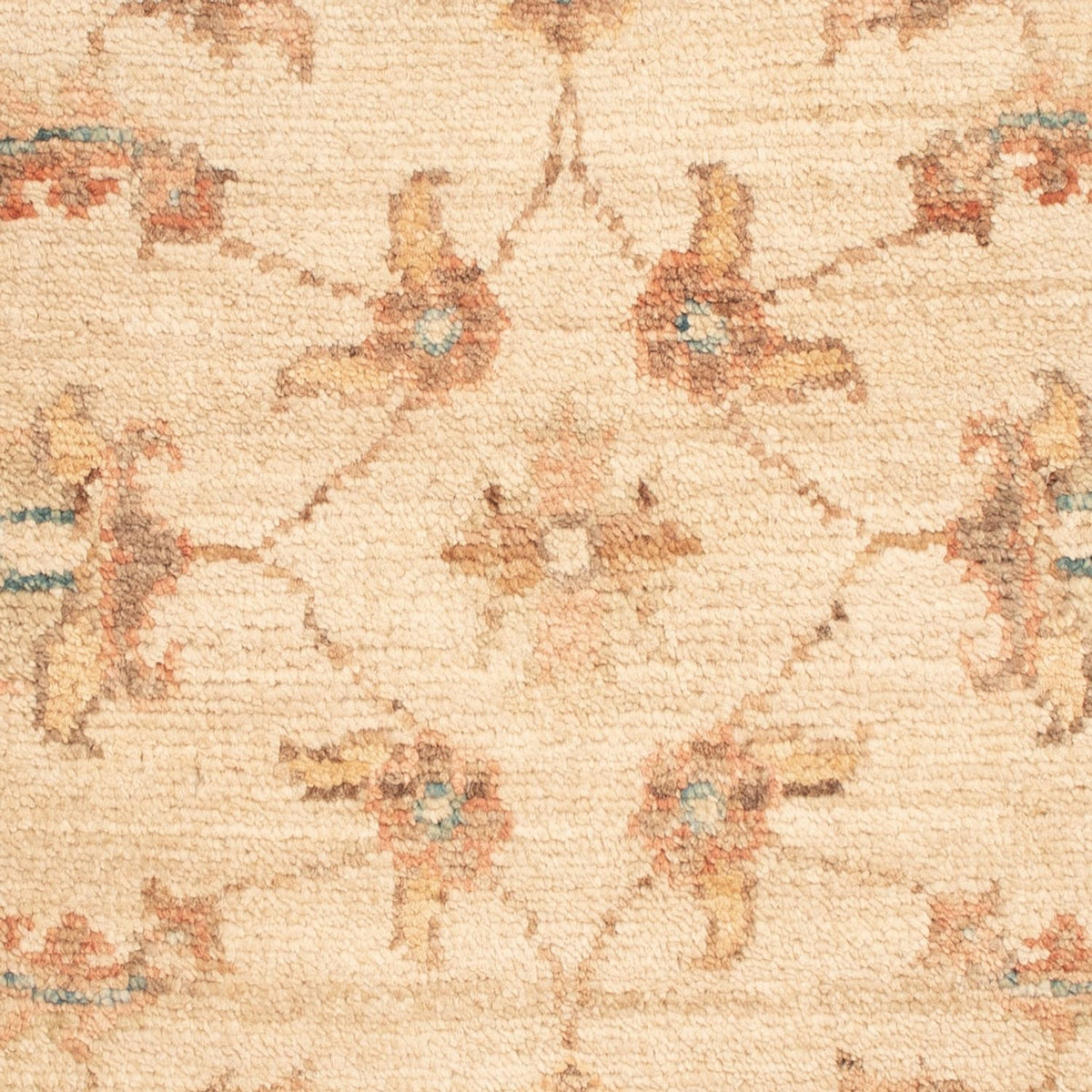 Ziegler Rug - 70 x 51 cm - beige