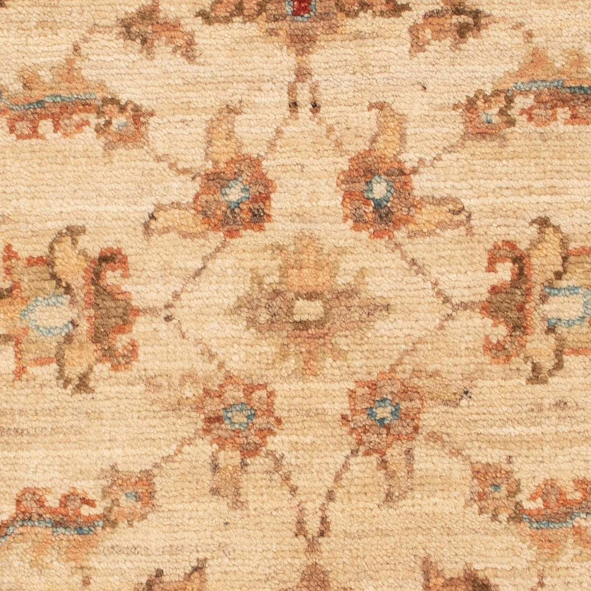 Ziegler Rug - 70 x 50 cm - beige