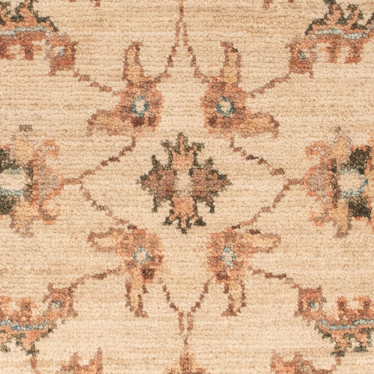 Ziegler Rug - 69 x 50 cm - beige