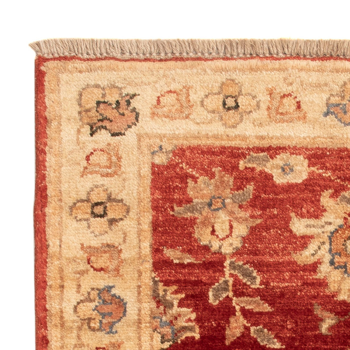 Ziegler Rug 63x52cm - Oriental Rug