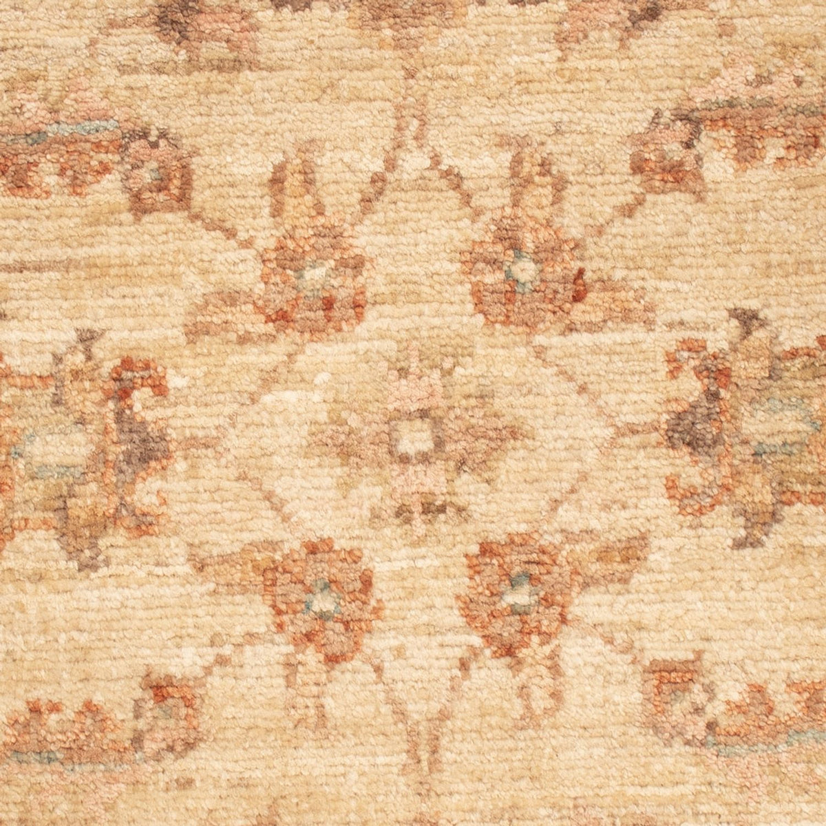 Ziegler Rug - 72 x 54 cm - beige