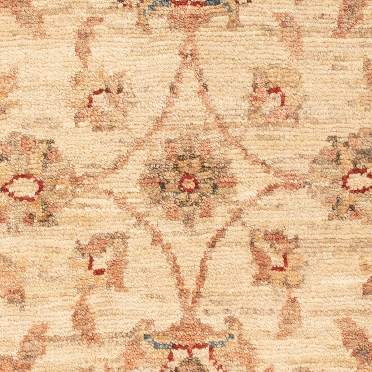 Ziegler Rug - 73 x 53 cm - beige