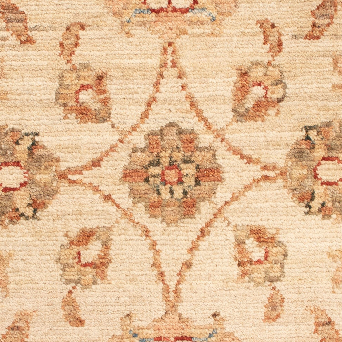 Ziegler Rug - 70 x 50 cm - beige