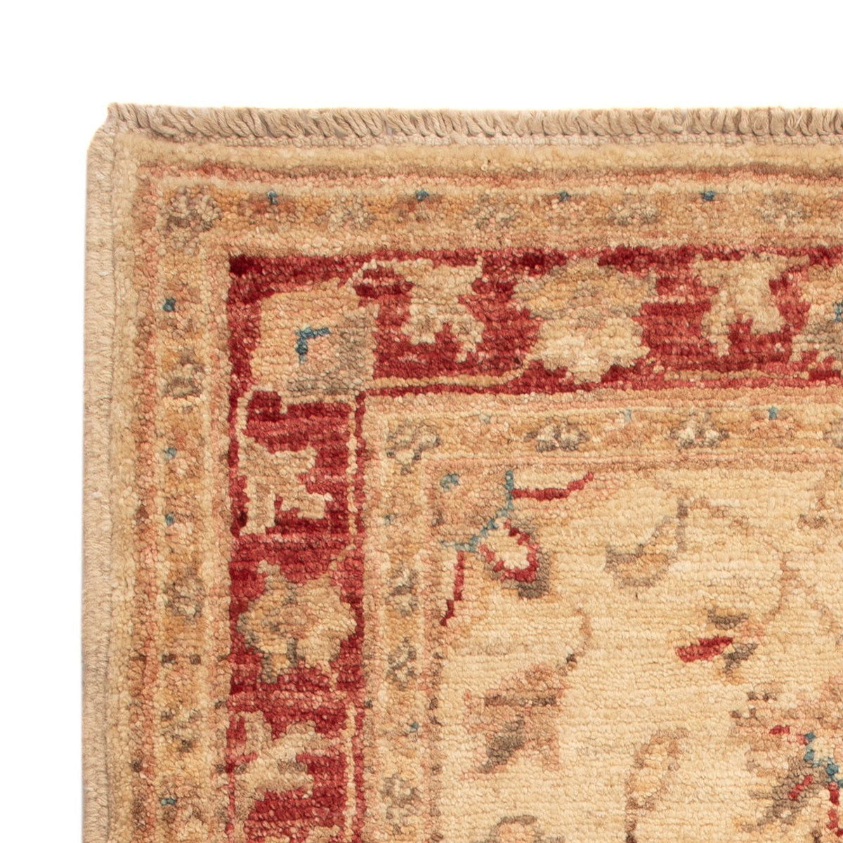 Ziegler Rug - 70 x 52 cm - beige