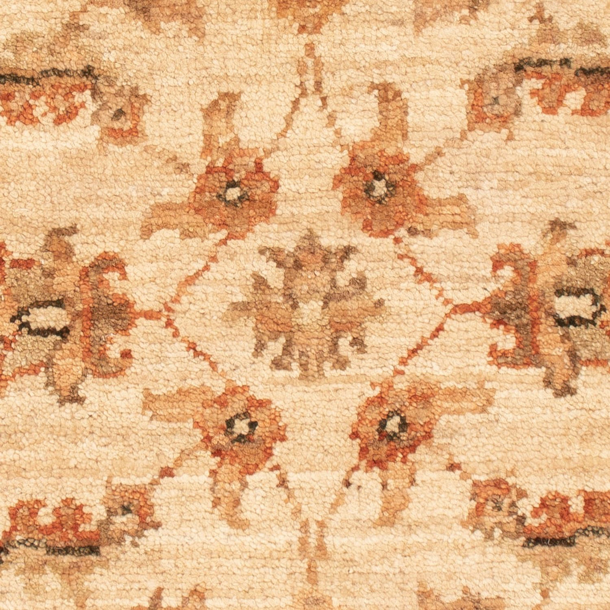 Ziegler Rug - 71 x 50 cm - beige