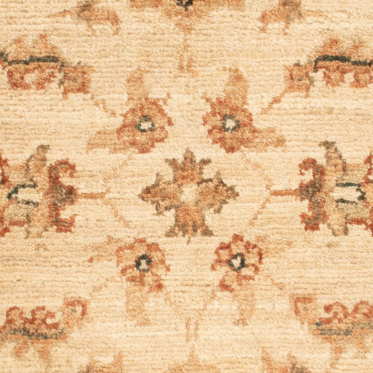 Ziegler Rug - 71 x 51 cm - beige