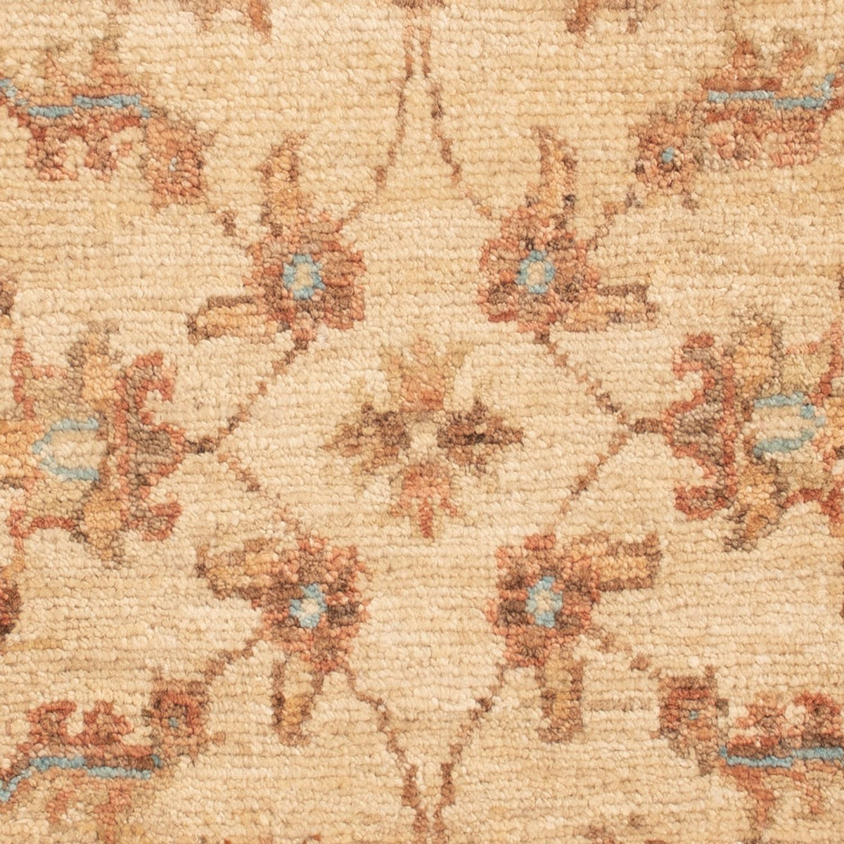 Ziegler Rug - 70 x 50 cm - beige