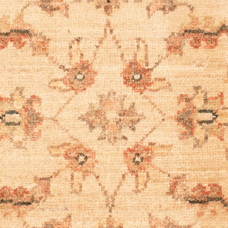 Ziegler Rug - 70 x 50 cm - beige