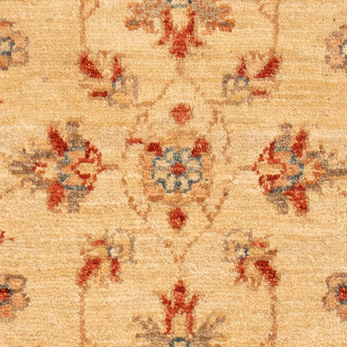 Ziegler Rug - 68 x 54 cm - beige