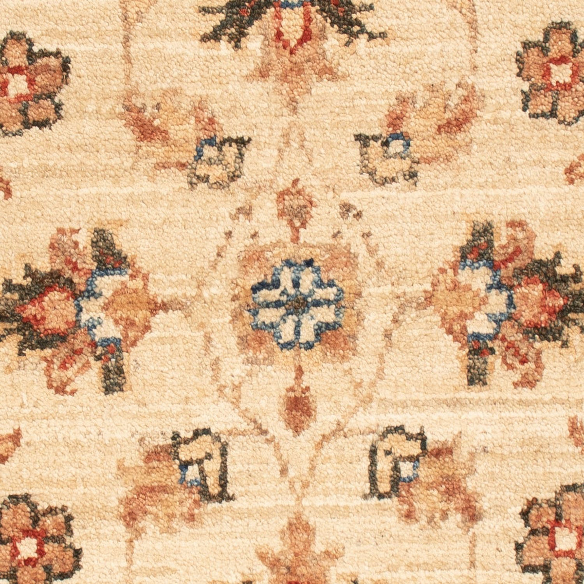 Ziegler Rug - 66 x 50 cm - beige