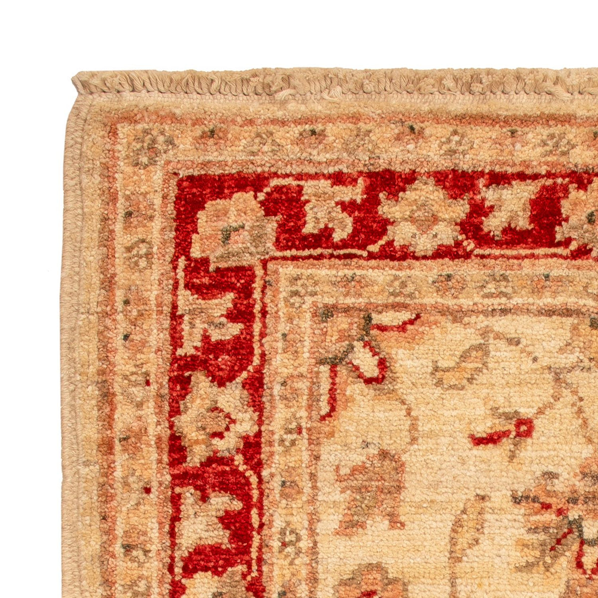 Ziegler Rug - 70 x 50 cm - beige