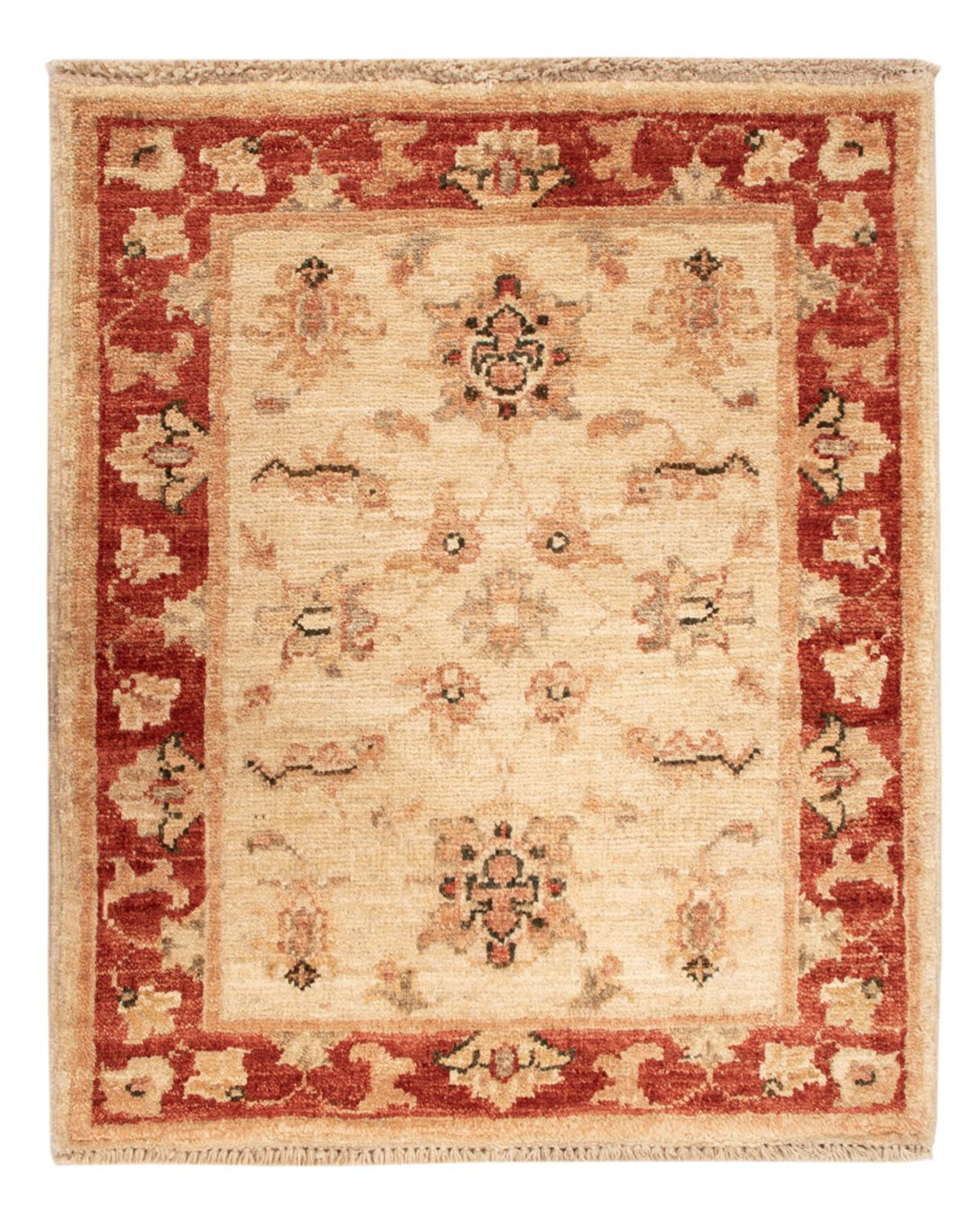 Ziegler Rug - 62 x 52 cm - beige