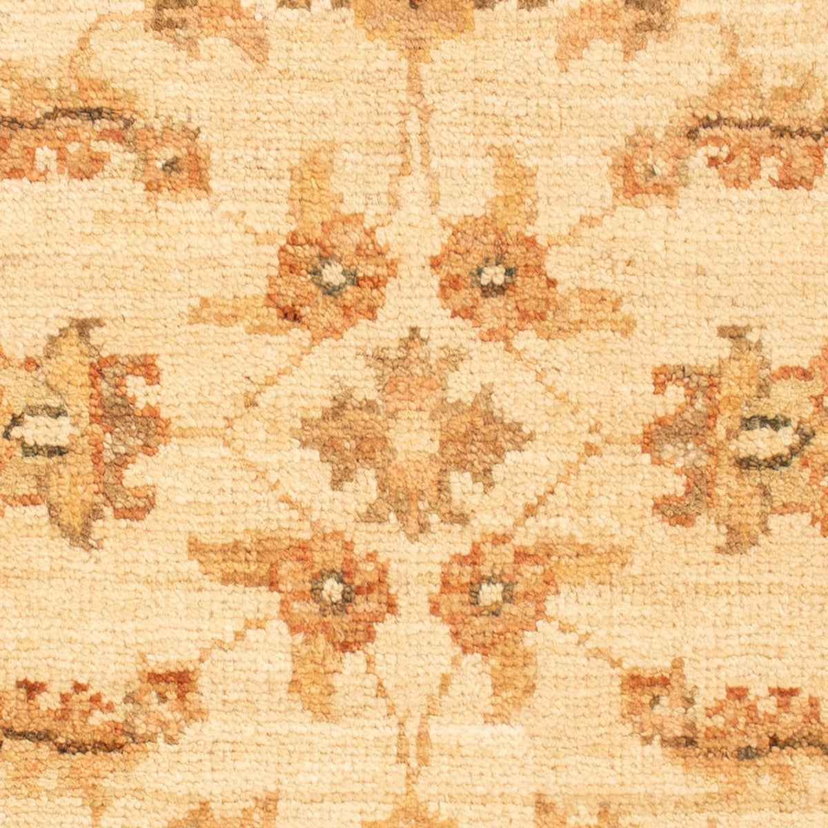 Ziegler Rug - 66 x 51 cm - beige
