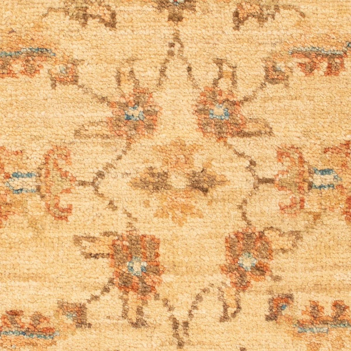 Ziegler Rug - 70 x 50 cm - beige