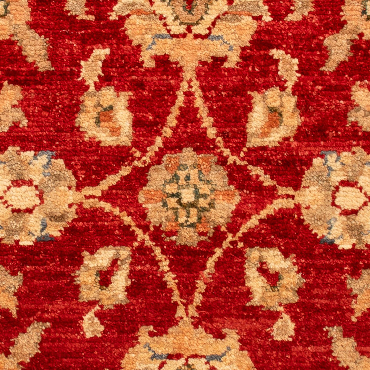 Ziegler Rug - 71 x 49 cm - red