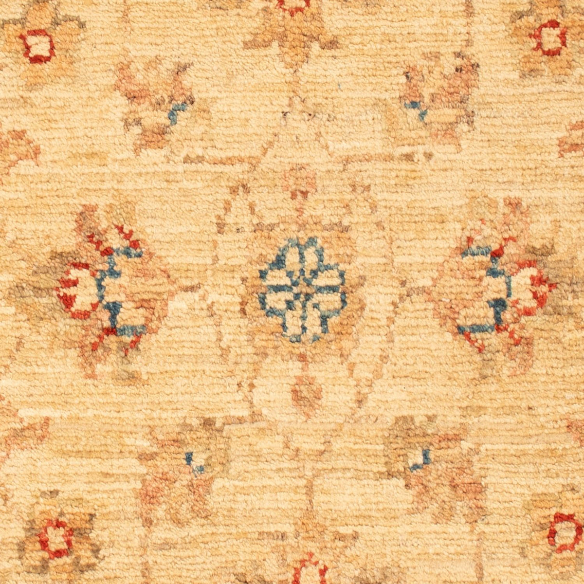 Ziegler Rug - 78 x 52 cm - beige