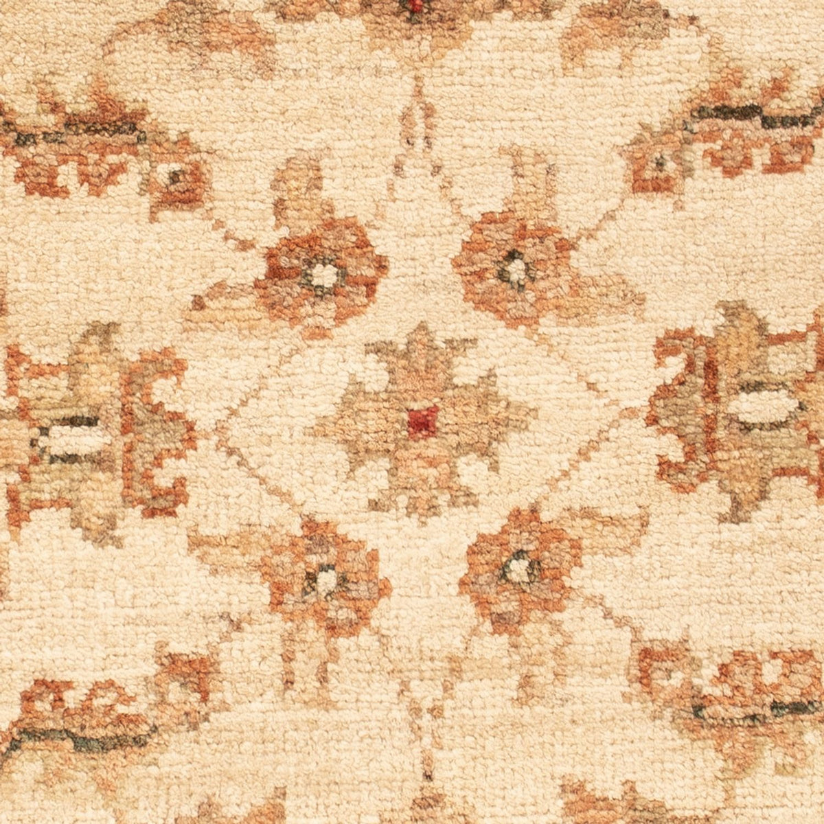 Ziegler Rug - 70 x 51 cm - beige