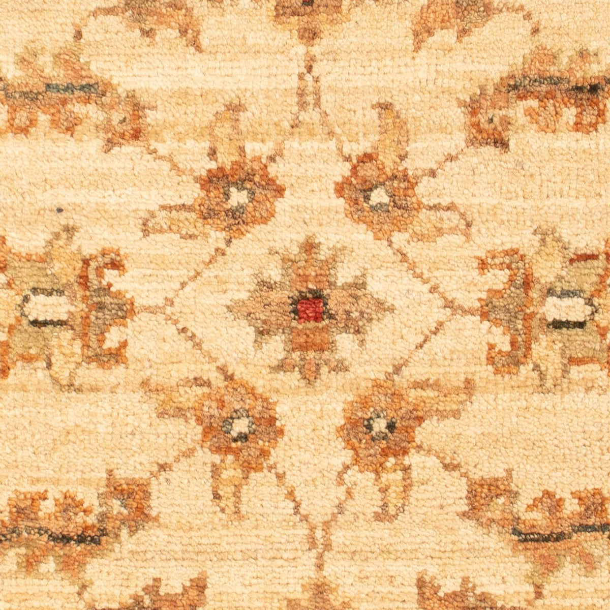 Ziegler Rug - 67 x 50 cm - beige