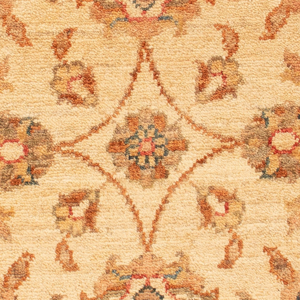 Ziegler Rug - 70 x 51 cm - beige