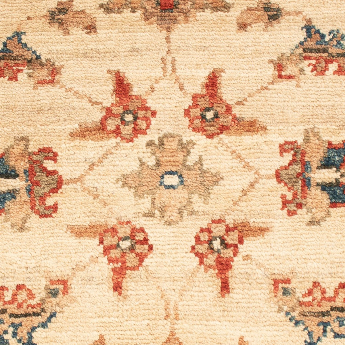 Ziegler Rug - 70 x 50 cm - beige
