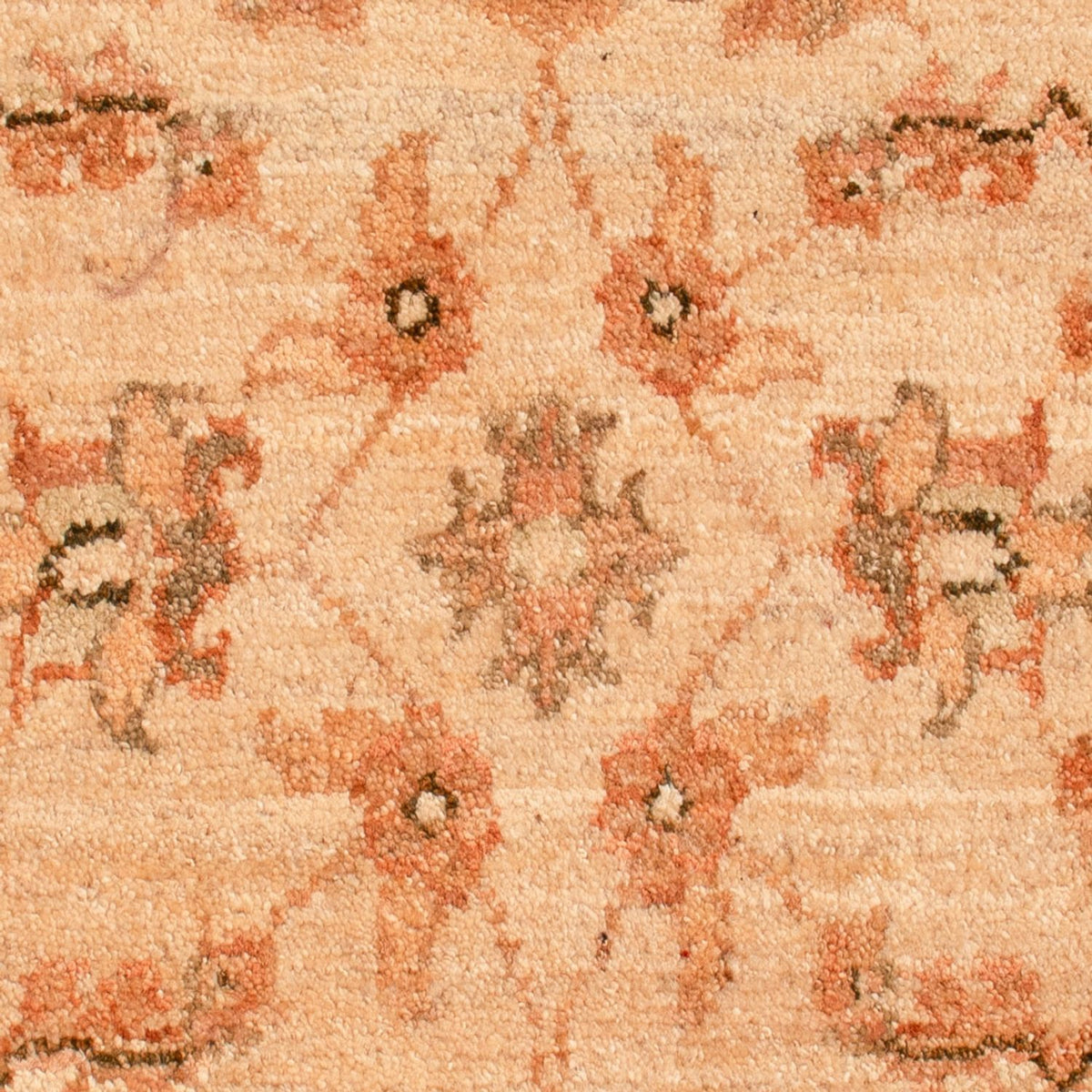 Ziegler Rug - 73 x 56 cm - beige