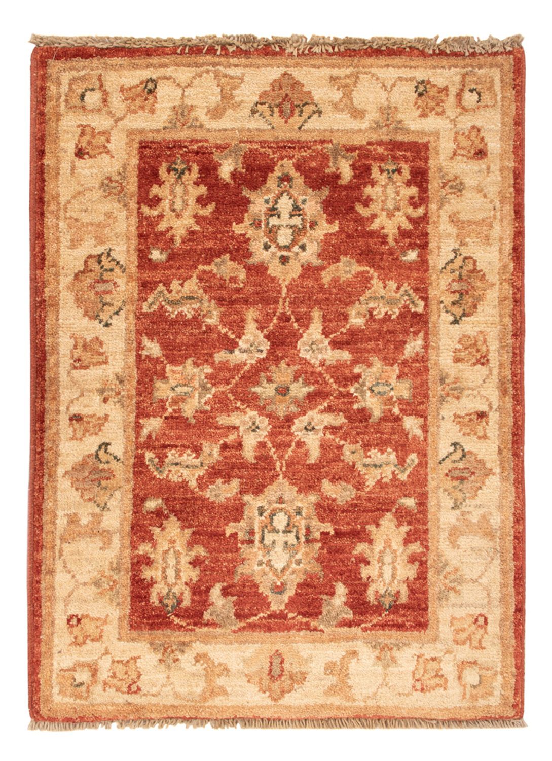Ziegler Rug - 69 x 50 cm - rust