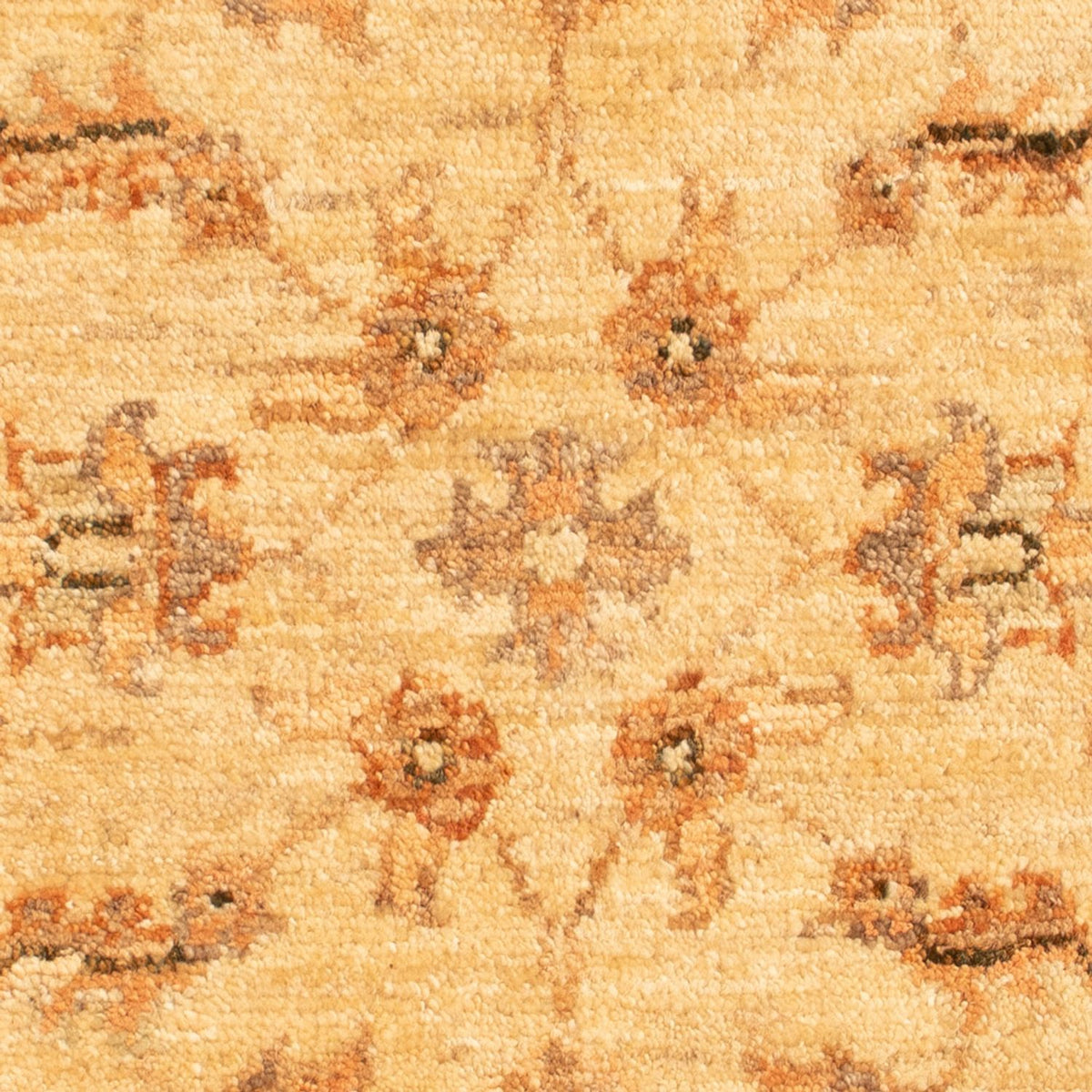 Ziegler Rug - 70 x 52 cm - beige