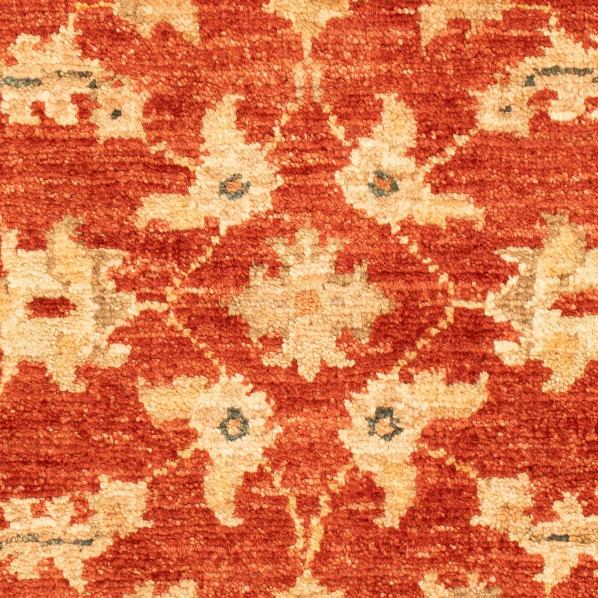 Ziegler Rug - 70 x 53 cm - red