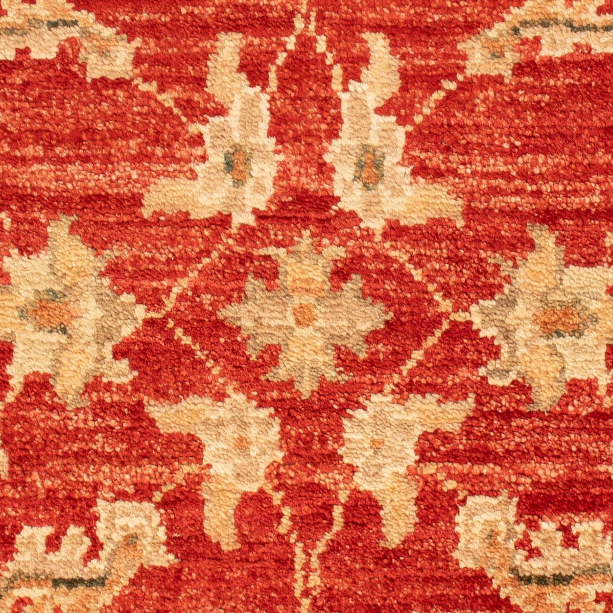 Ziegler Rug - 69 x 52 cm - red