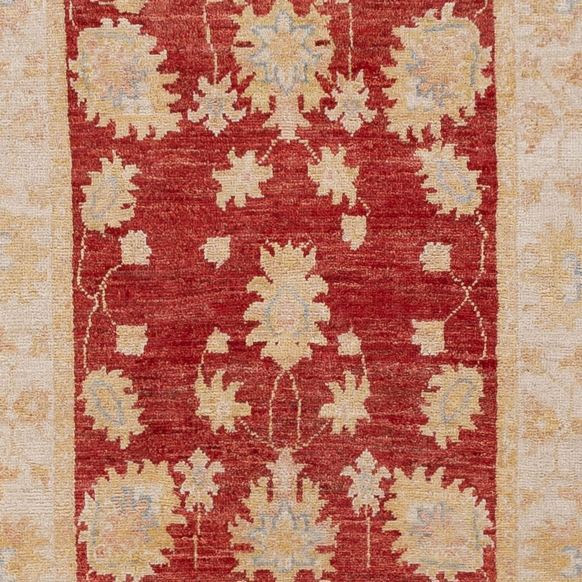 Runner Ziegler Rug - 345 x 81 cm - red