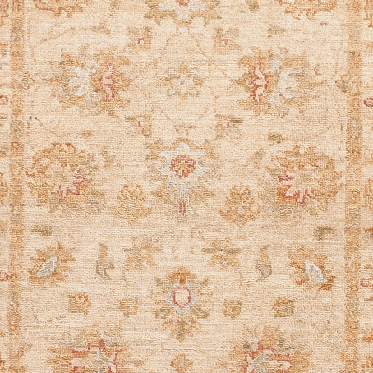 Runner Ziegler Rug - 481 x 75 cm - beige