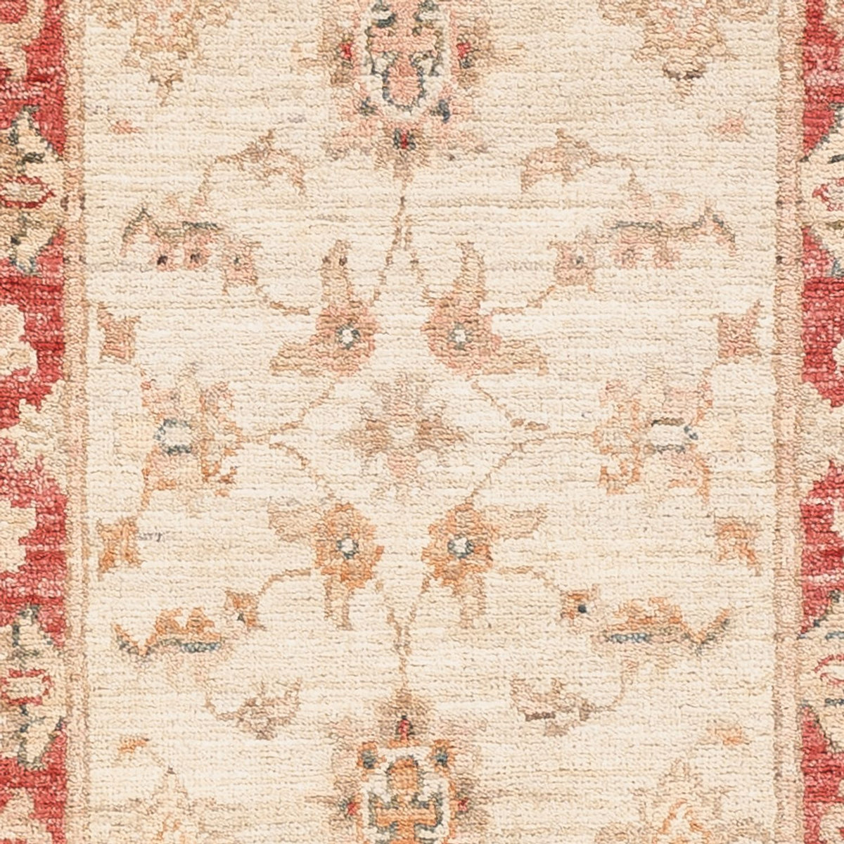Runner Ziegler Rug - 171 x 49 cm - beige