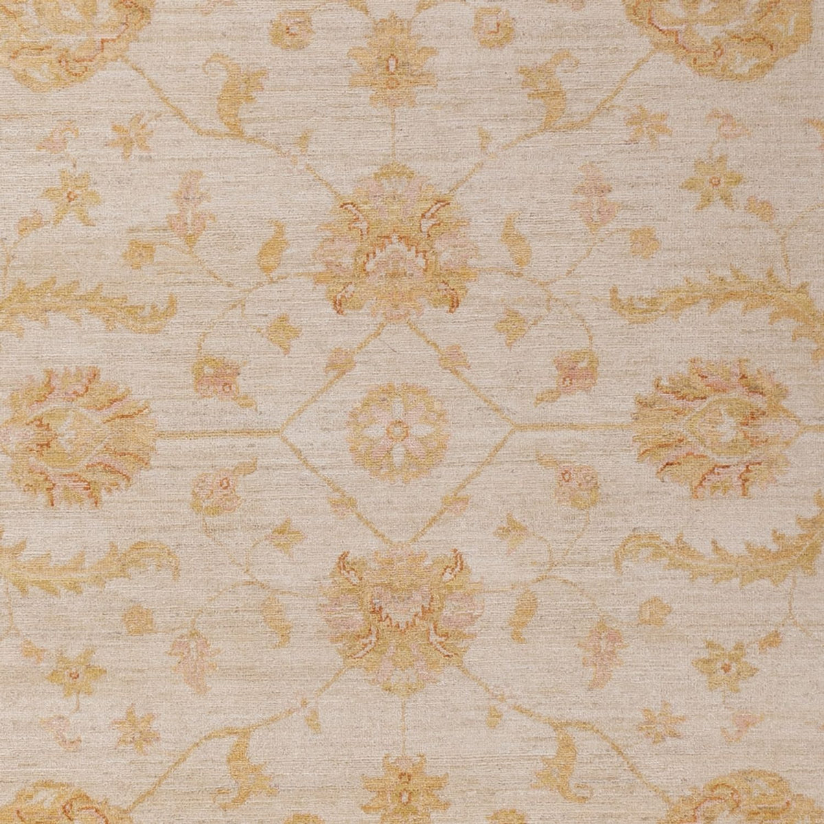 Ziegler Rug - 307 x 203 cm - beige