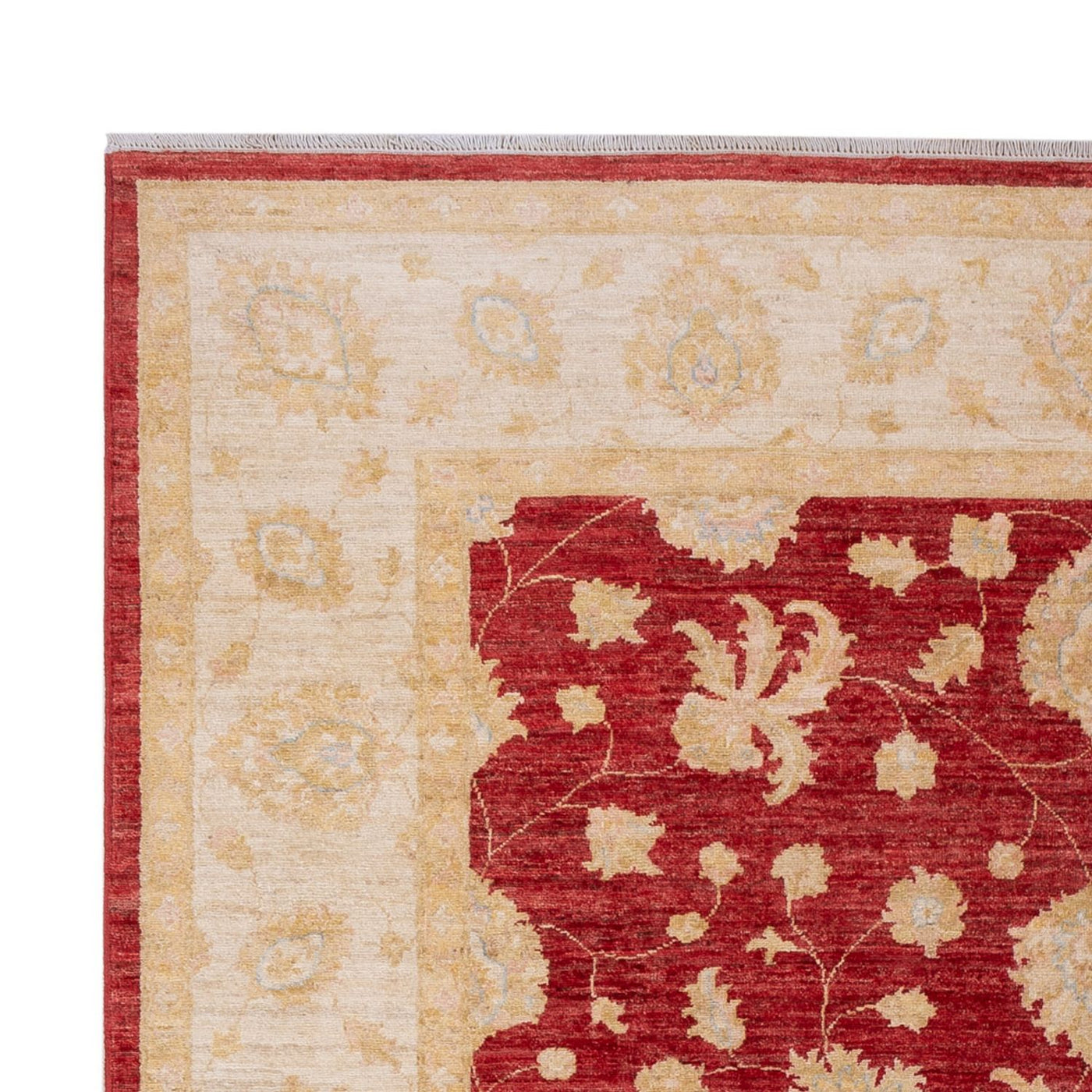 Ziegler Rug - 297 x 209 cm - dark red
