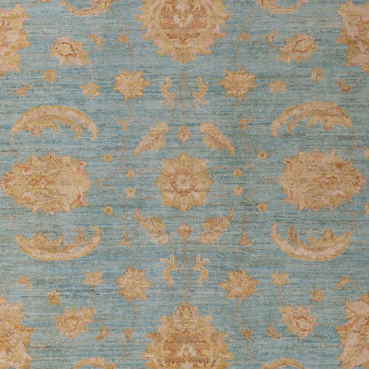 Ziegler Rug - 303 x 207 cm - light blue