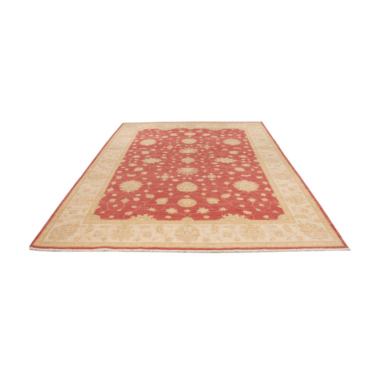 Ziegler Rug - 296 x 203 cm - dark red