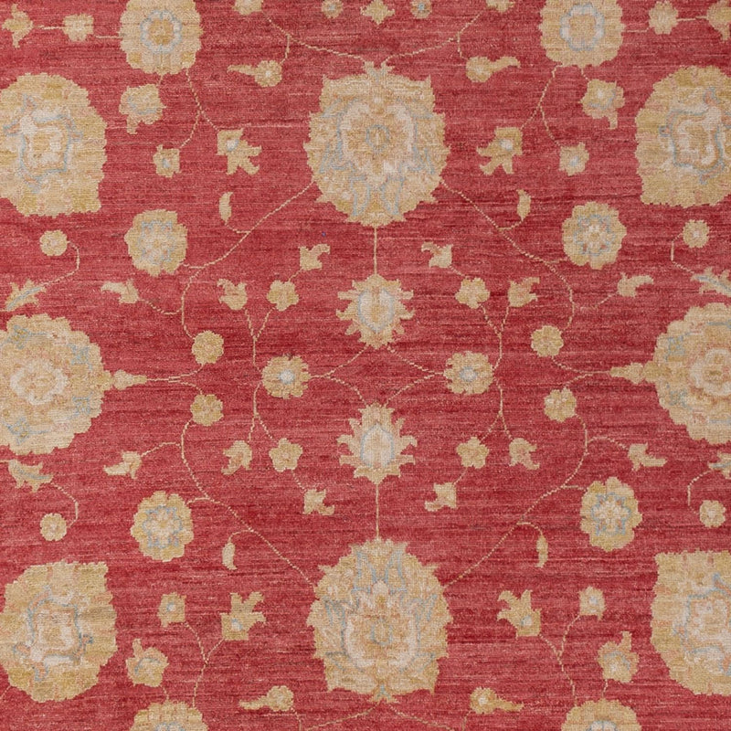 Ziegler Rug - 320 x 207 cm - dark red