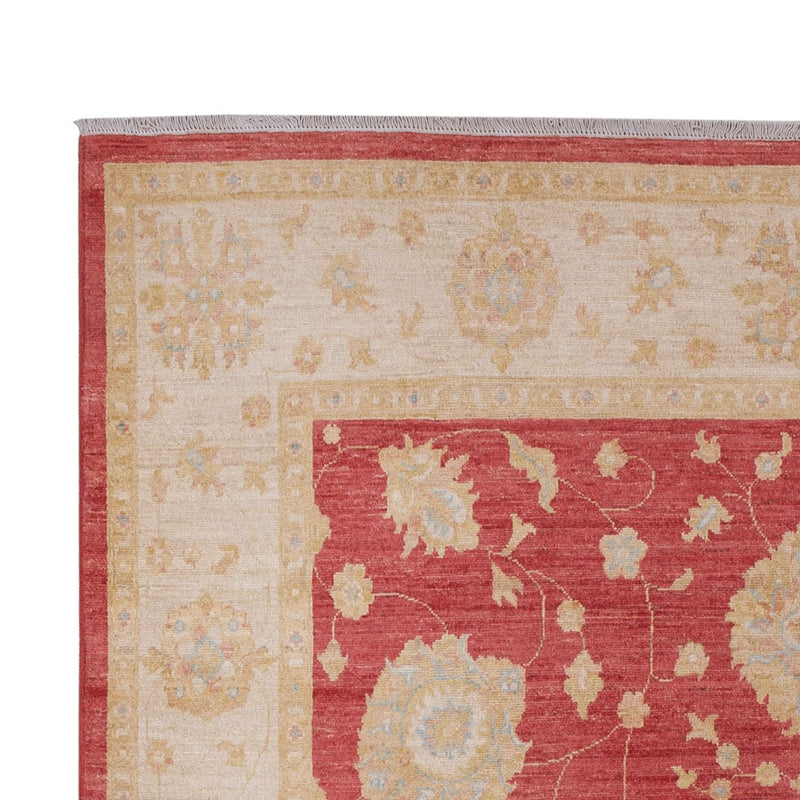 Ziegler Rug - 320 x 207 cm - dark red