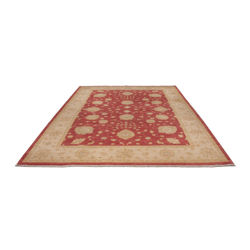 Ziegler Rug - 320 x 207 cm - dark red