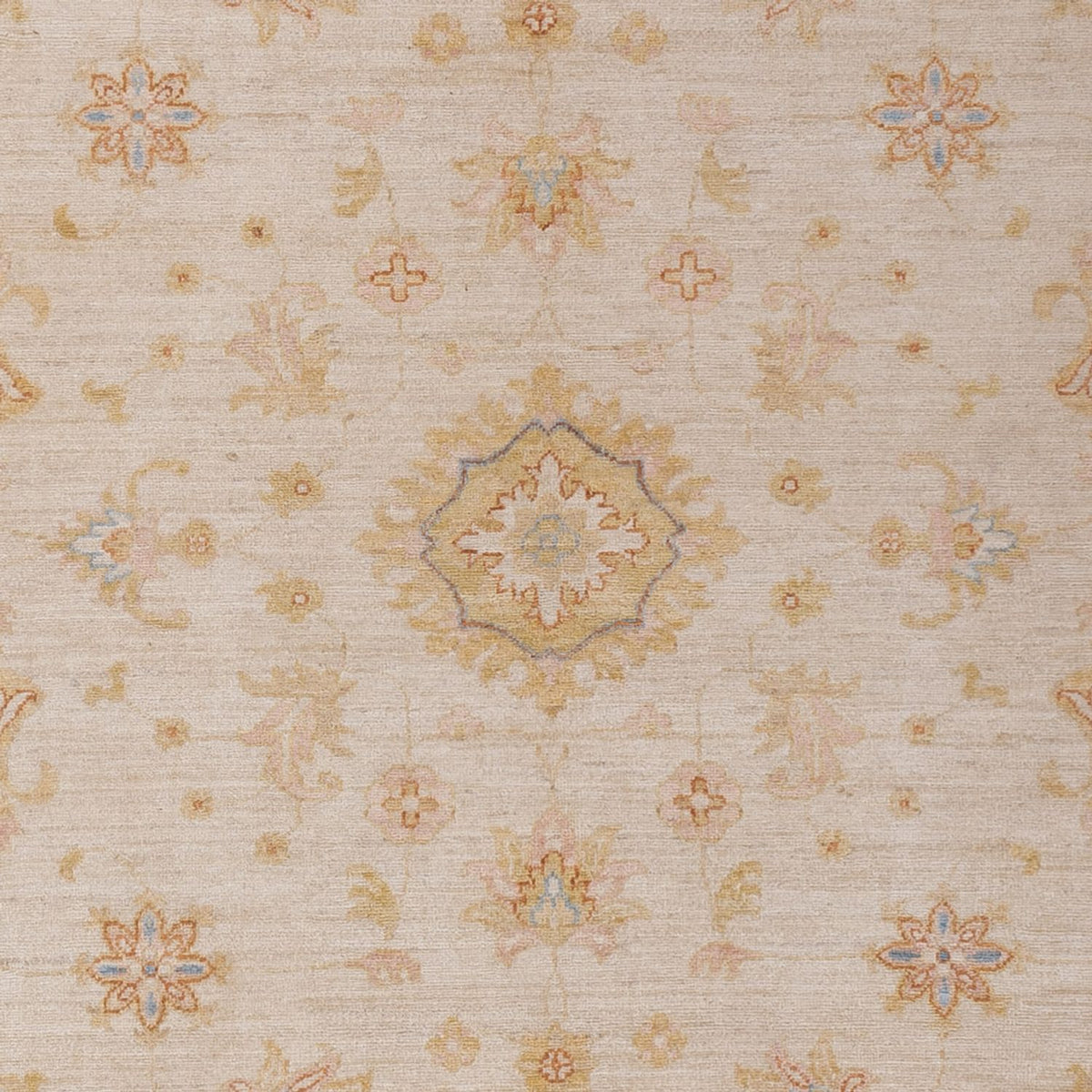 Ziegler Rug - 288 x 212 cm - beige