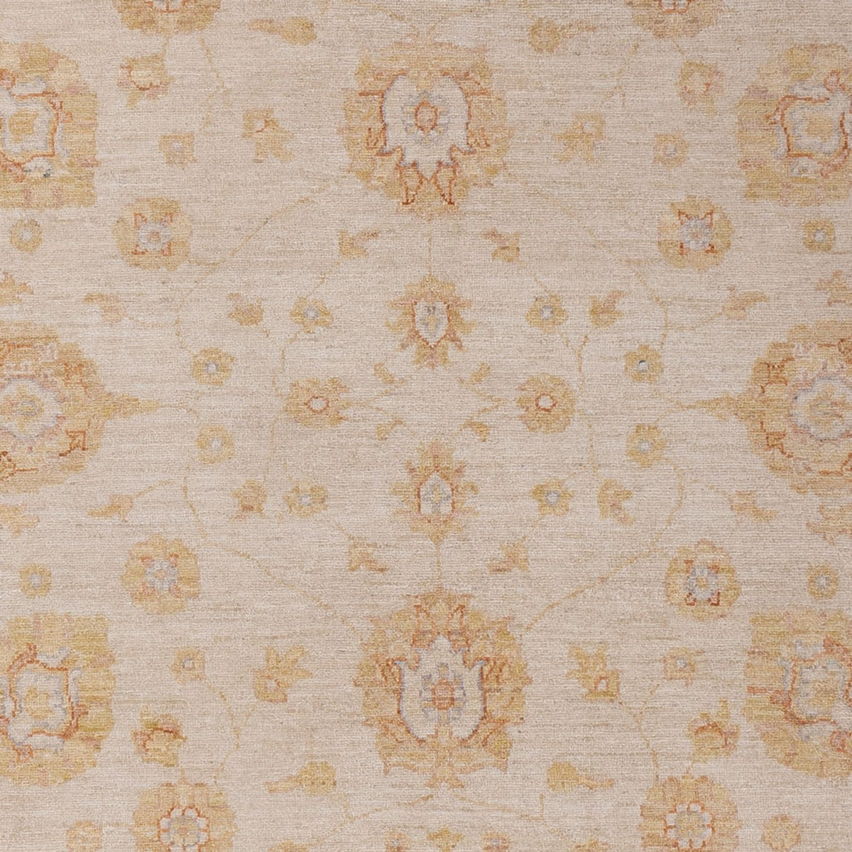 Ziegler Rug - 292 x 206 cm - beige