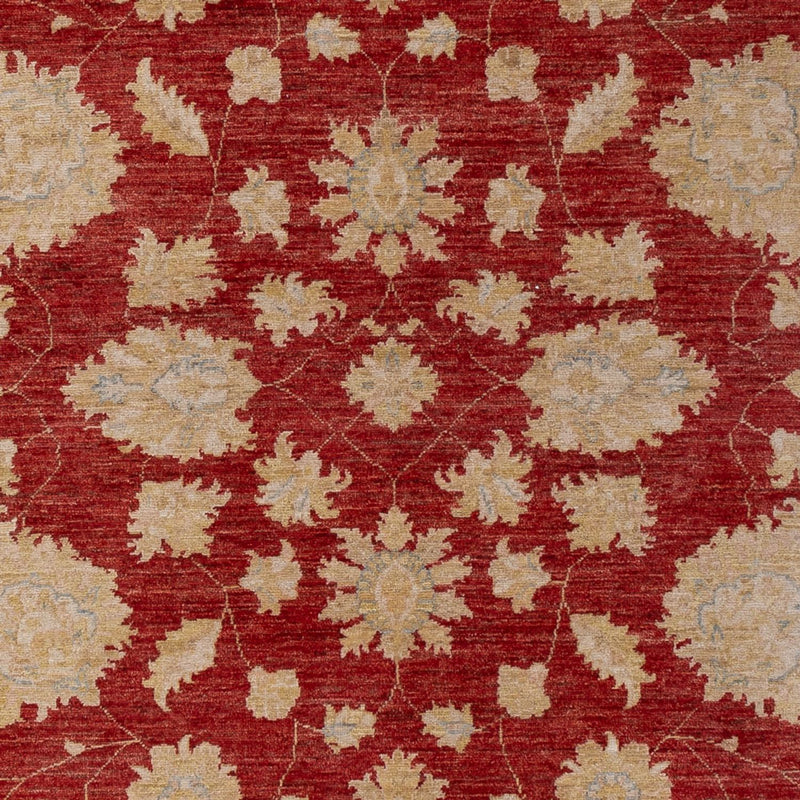 Ziegler Rug 295x201cm - Oriental Rug