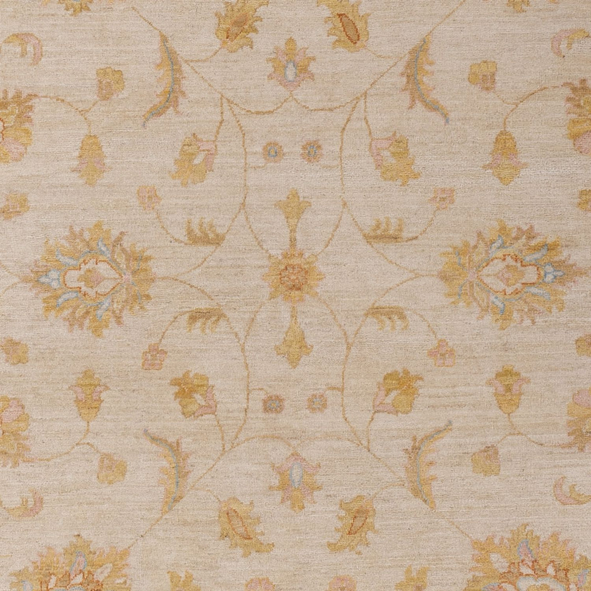 Ziegler Rug - 277 x 202 cm - beige