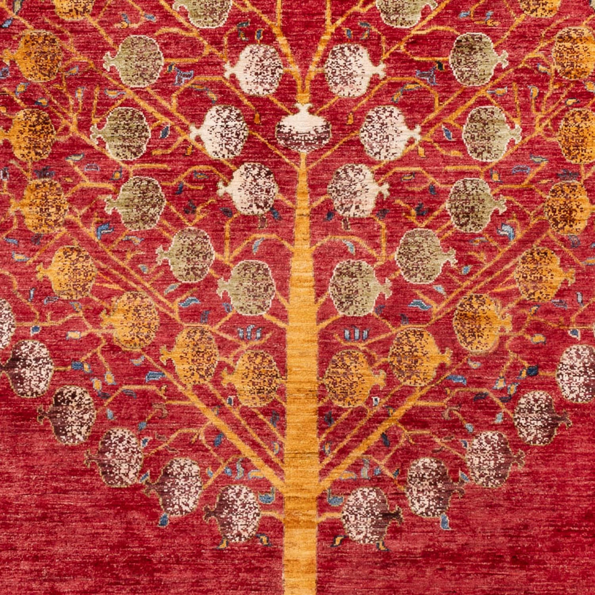 Ziegler Rug - Ariana - 296 x 205 cm - red