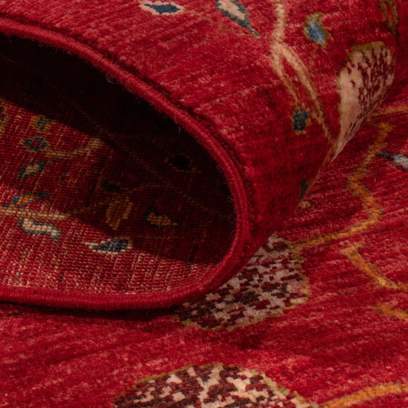 Ziegler Rug - Ariana - 296 x 205 cm - red