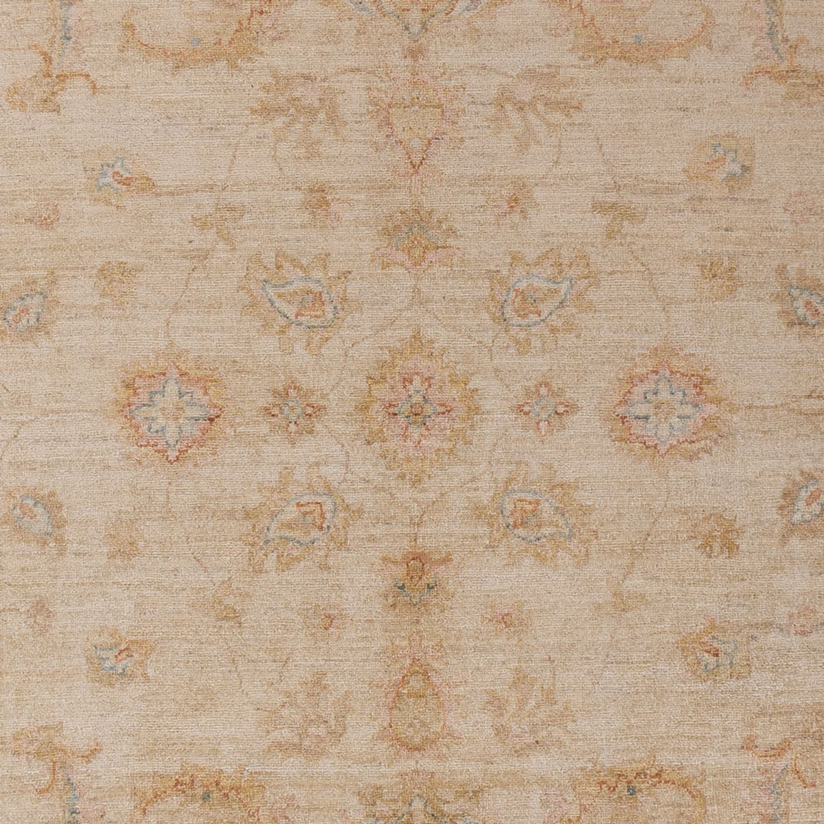Ziegler Rug - 304 x 206 cm - beige
