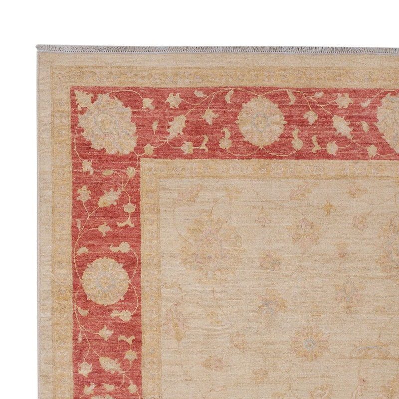 Ziegler Rug - 292 x 205 cm - beige